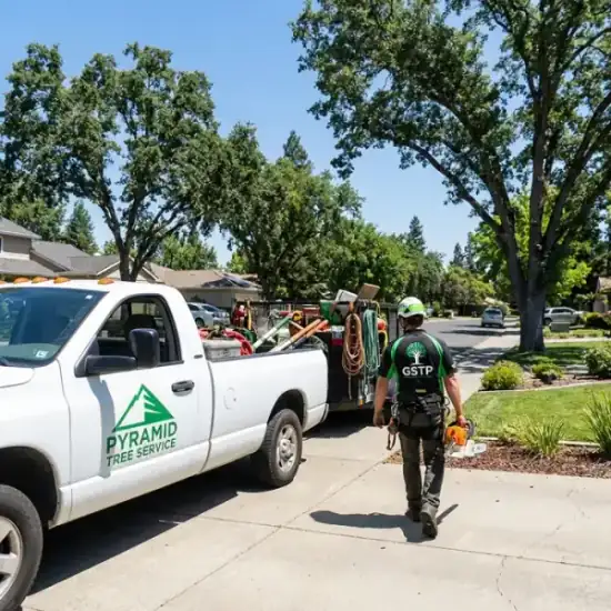 Arborist Action truck arriving at a Orlando residential job