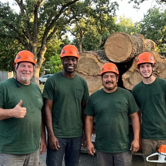 Arborist Action tree crew with a truck loaded with oak logs in Orlando